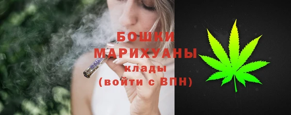 индика Воткинск