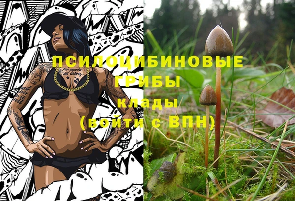 мяу мяу мука Всеволожск