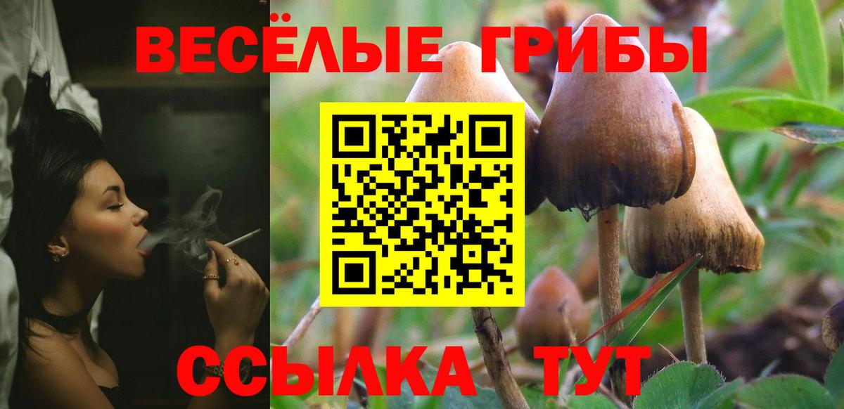 Галлюциногенные грибы MAGIC MUSHROOMS  закладки  Азов  Псилоцибиновые грибы ЛСД  Вход с VPN 